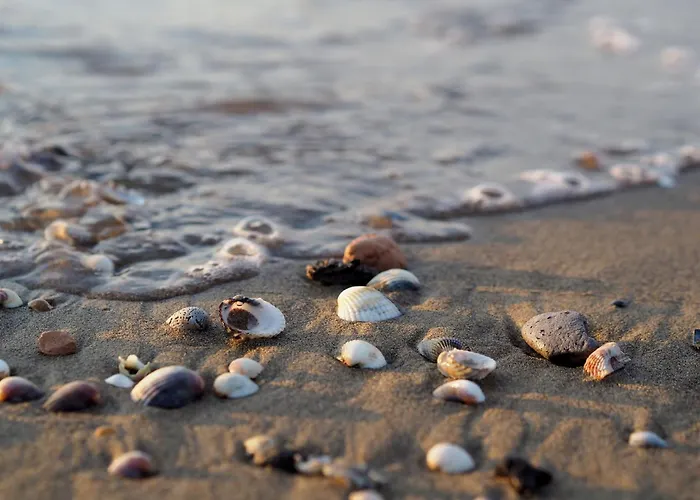 Apartment Two-level Flat With Shared Pool *